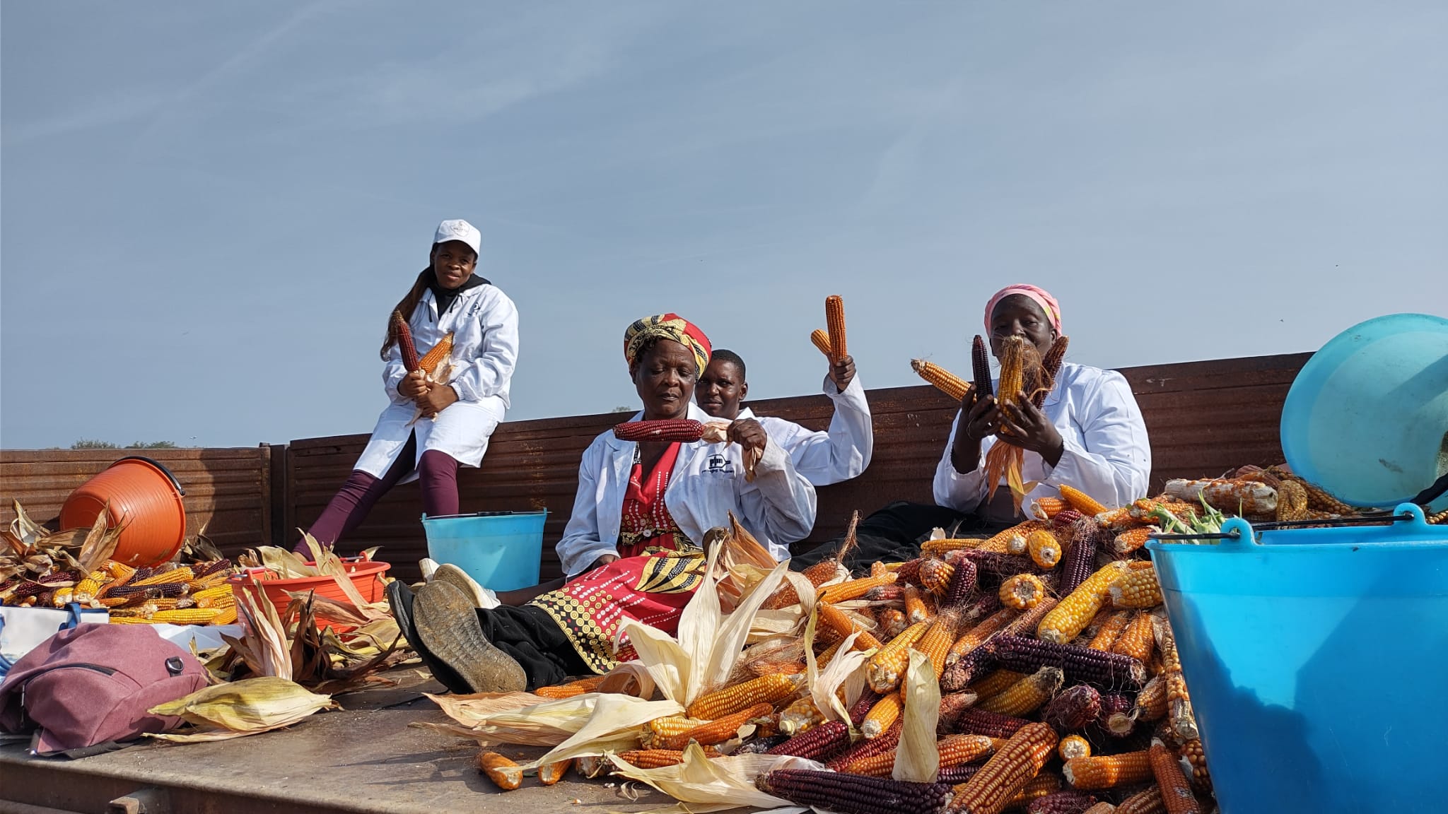 Paesi in via di sviluppo, solo il 16% delle misure di adattamento agroalimentare affronta direttamente gli impatti climatici